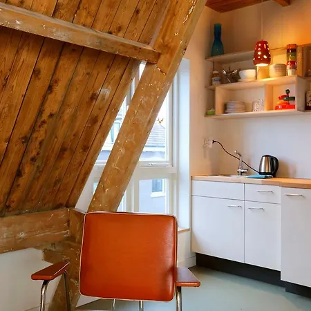 Appartement Vintage Terrace Apartment Amsterdam